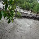 अबूझमाड़ के 14 गांवों में आईटीबीपी ने लकड़ी के अस्थायी फुट ब्रिज बनाकर दी राहत