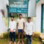 वन्यजीव तस्करों पर कड़ी कार्रवाई, सांभर शिकार मामले में 3 आरोपी गिरफ्तार, भेजे गए जेल