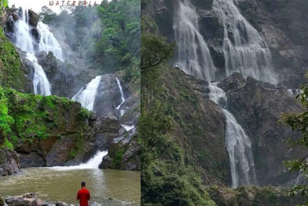 जशपुर दनगरी वाटरफॉल पर हादसा, 7 पर्यटक नदी के तेज बहाव में फंसे